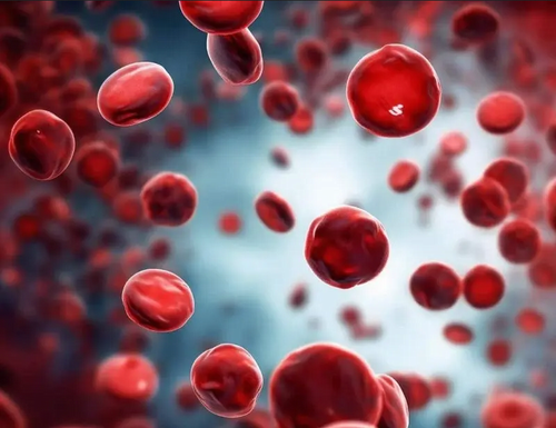 The effect of human platelet lysate on self-renewal and homing potential of peripheral blood derived hematopoietic stem cells